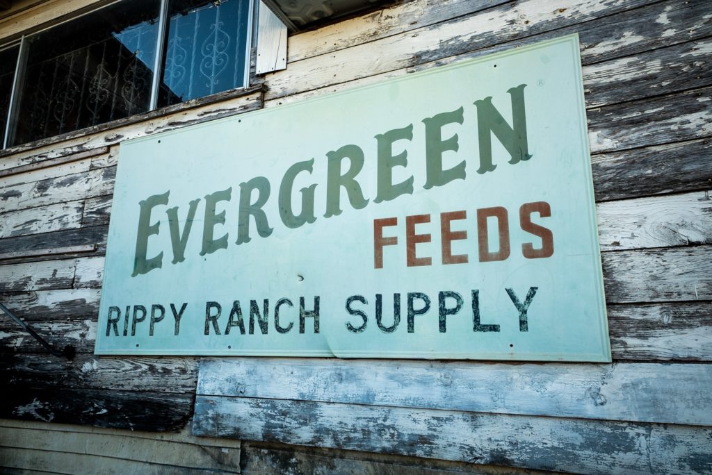 Feed Store Sign