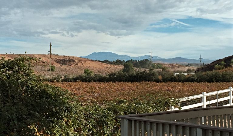Temecula Wine Country AirBnB